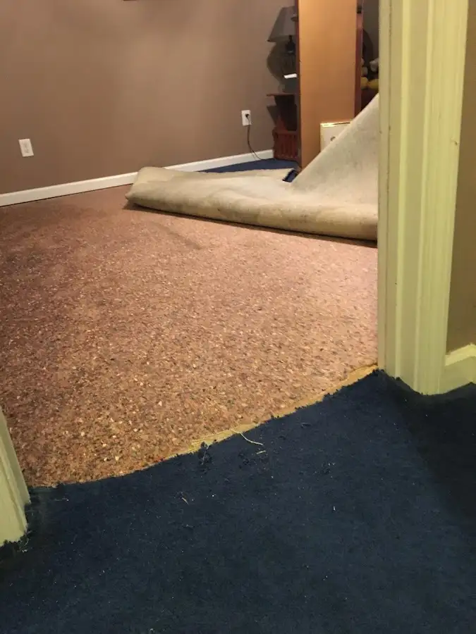 Carpet pad removal revealing water damage during Drying & Dehumidification in Dormont