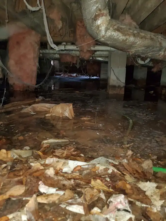 Crawl space flood assessment for Leak Detection & Repair in Dormont