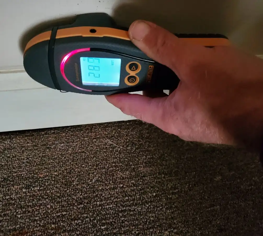 Moisture detection at baseboard during Mold Inspection & Testing in Dormont